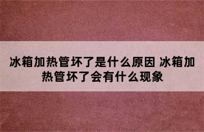 冰箱加热管坏了是什么原因 冰箱加热管坏了会有什么现象